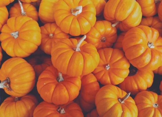 [49+] Fall Wallpaper Backgrounds Tumblr 