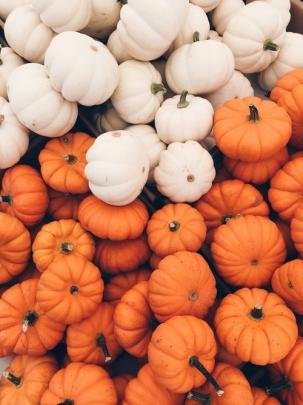 Fall Inspired Phone Wallpapers | jayywing