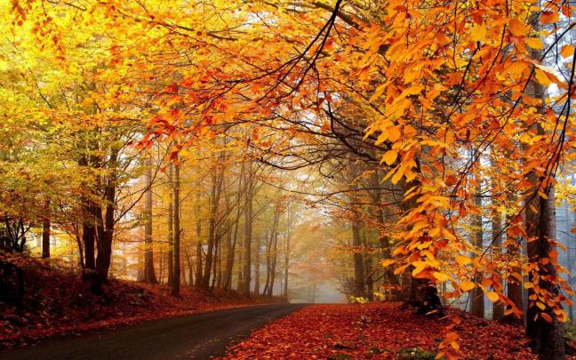 Tumblr Autumn Desktop Wallpapers - Top Free Tumblr Autumn Desktop 