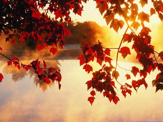 Download Autumn Tumblr Wallpapers Free Desktop Background