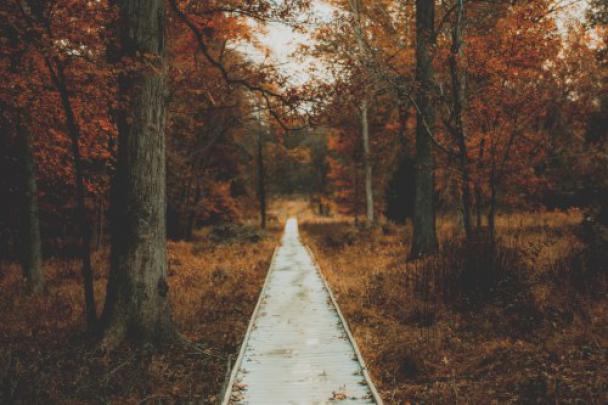 autumn desktop wallpaper | Tumblr
