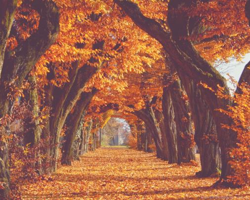 Pic \u0026gt; Fall Backgrounds Tumblr Desktop Background