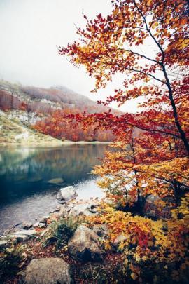 fall backgrounds on Tumblr