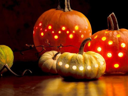 Free download pumpkins 1600x1200 wallpaper Halloween Wallpaper Desktop 