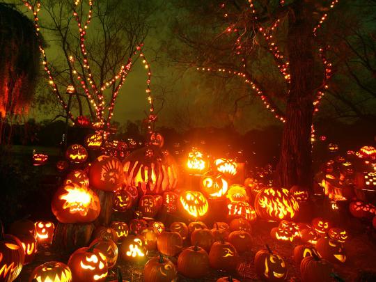 Halloween Wallpapers - Free Halloween Wallpapers: Halloween Wallpapers 