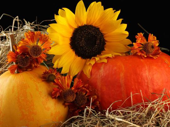 Awesome Galleries: Halloween Desktop Wallpaper (Page 3)