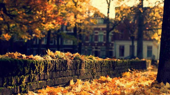 Live Halloween Wallpaper for Desktop (62+ images)