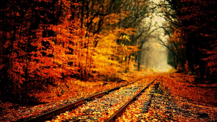 Fall Pumpkin Wallpaper for Desktop (57+ images)