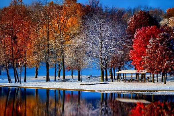 Wallpaper | Winter | photo | picture | late autumn, Park, the pond 