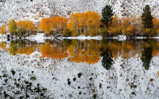 Late Winter Desktop Wallpaper (34+ images)