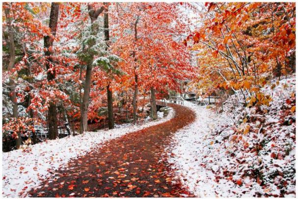 Fall Winter Background Wallpaper Fall Winter Wallpaper - New Jersey Isn 