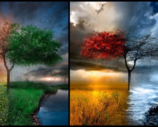 [41+] Fall Winter Background Wallpaper 