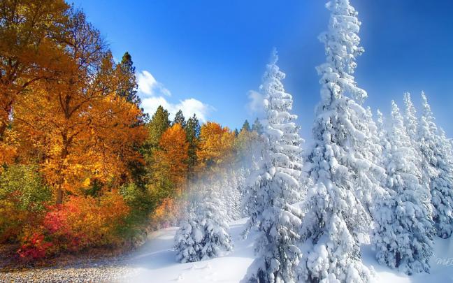 Fall To Winter HD desktop wallpaper : Widescreen : High Definition 