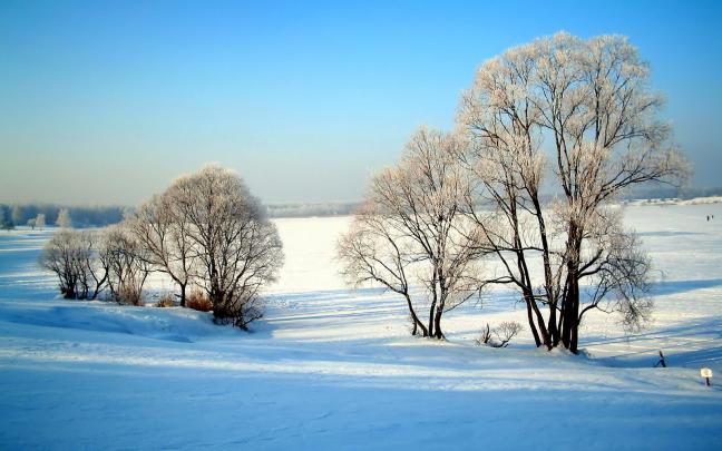 Snow Fall Winter HD Wallpapers - HD Wallpapers Blog