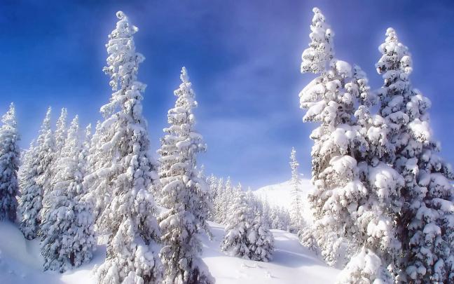 Snow Fall Winter HD Wallpapers - HD Wallpapers Blog