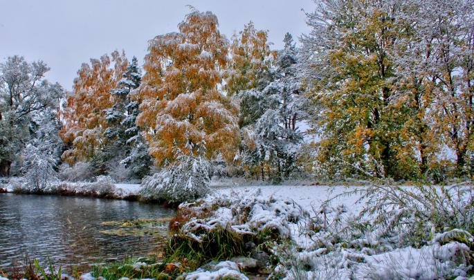 nature, Landscapes, Trees, Forests, Autumn, Fall, Seasons, Winter, Snow 