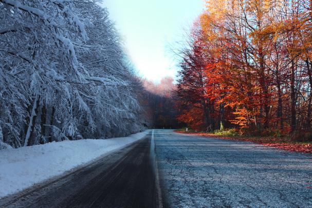 Autumn Vs Winter 5k, HD Nature, 4k Wallpapers, Images, Backgrounds 