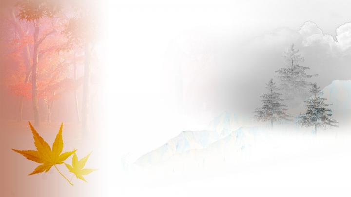 Autumn leaves and Winter wind - HD wallpaper