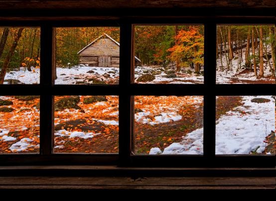 nature, Forest, Window, Fall, Snow, Winter Wallpapers HD \/ Desktop and 