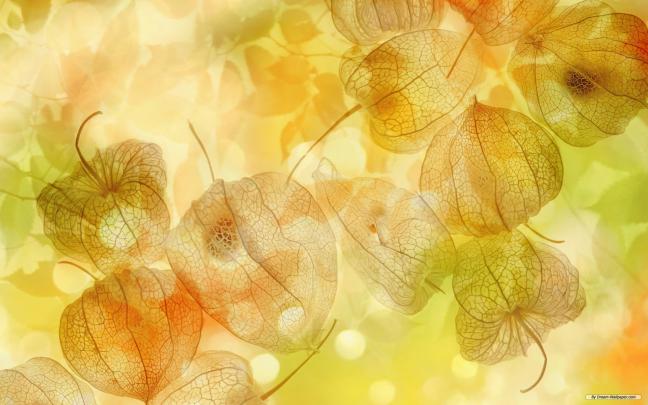 [41+] Fall Winter Wallpaper Background 