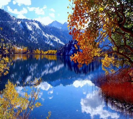 Download Winter Autumn Wallpaper