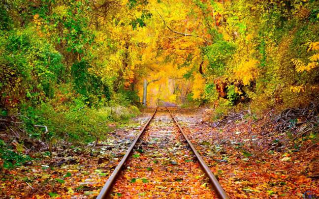 Early Fall Desktop Wallpapers (43+ images)