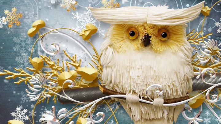 Wise winter owl wallpaper | AllWallpaper.in #9810 | PC | en