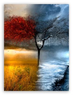 Fall Winter Ultra HD Desktop Background Wallpaper for