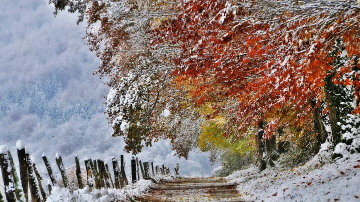 Fall Winter Background Wallpaper -