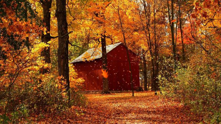 Winter Cabin Wallpaper for Desktop (57+ images)