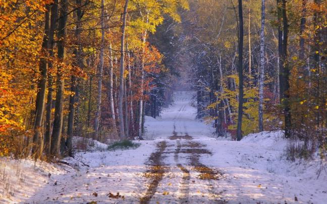 Fall Snowy Wallpaper -