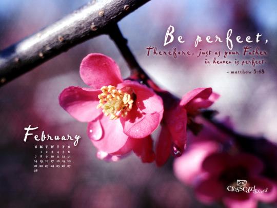 February 2010 - Be Perfect Desktop Calendar- Free Monthly Calendars 