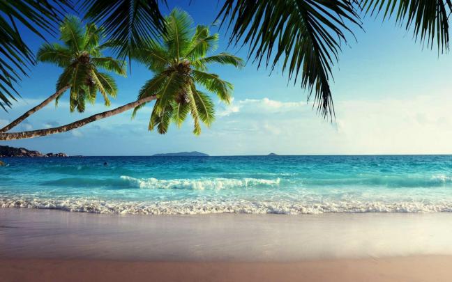 4K Tropical Wallpapers Desktop 2022 - Bored Wallpapers