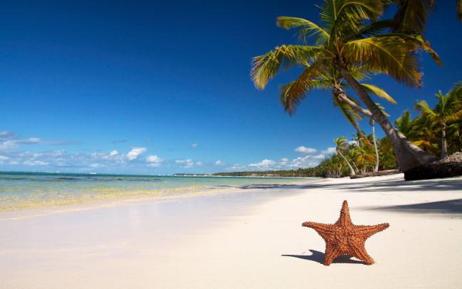 4K Tropical Wallpapers Desktop 2022 - Bored Wallpapers