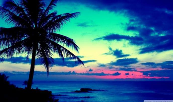 4K Tropical Wallpapers Desktop 2022 - Bored Wallpapers