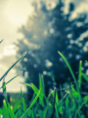 Feel Good Wallpapers