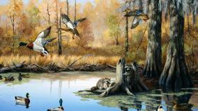Duck Hunting Desktop Wallpaper