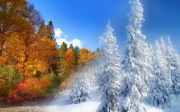 Fall Winter Desktop Wallpaper