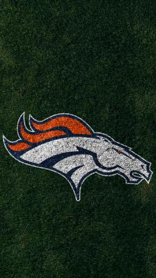 Denver Bronco Wallpaper for Desktop (73+ images)