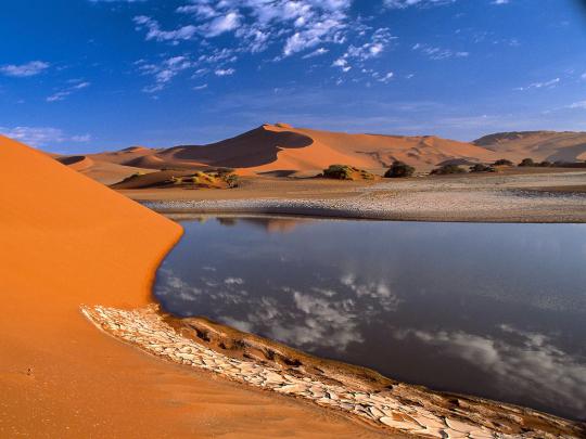 Desert Oasis Wallpaper -