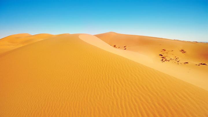 Desert Background -