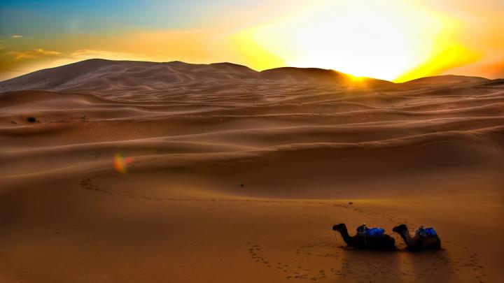 [50+] Sahara Desert Wallpaper 