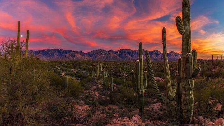 Arizona Desert Wallpaper HD (40+ images)