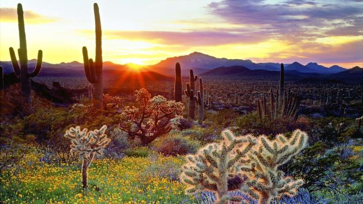 Free download Desert wallpapers 1920x1080 Full HD 1080p desktop 