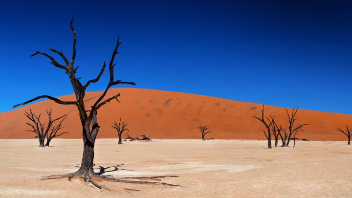 Desert Landscape Wallpaper -