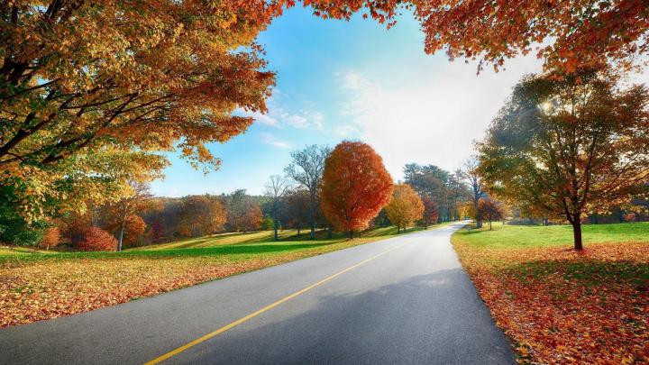 1080P Nature Wallpapers (68+ background pictures)