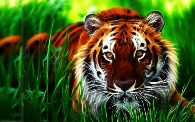 Free download hd 3d wallpapers for pc full screen 12 HD Beautiful 