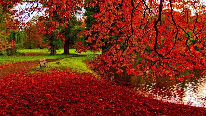 Fall Desktop Wallpapers Backgrounds (64+ images)