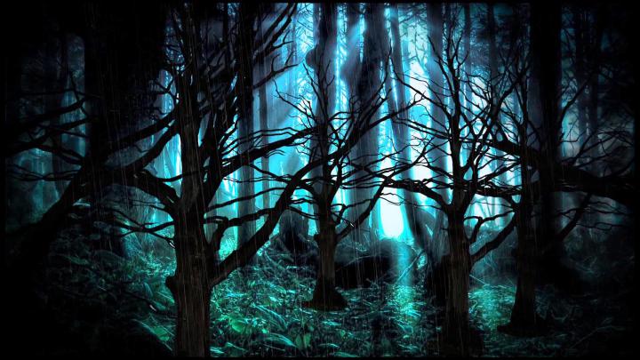 Dark Forest HD Wallpaper (61+ images)