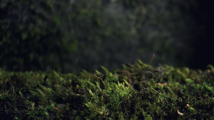 Dark Backgrounds 1920\u00d71080